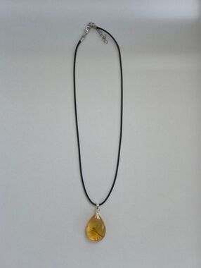 Resin Dragonfly Tear drop Necklace
